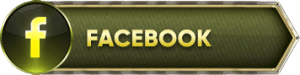 banner fb 300x75 1
